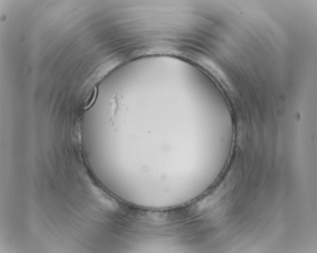 X0000089421241200707061311