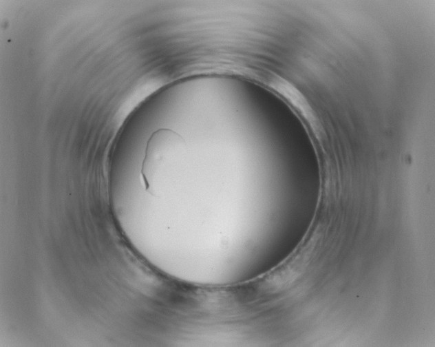 X0000089421242200707061311