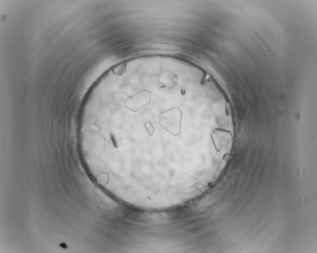 X0000089421243200707061311