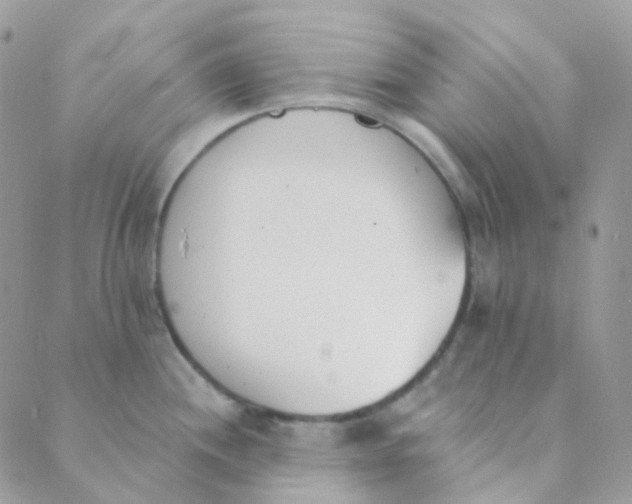 X0000089421244200707061311