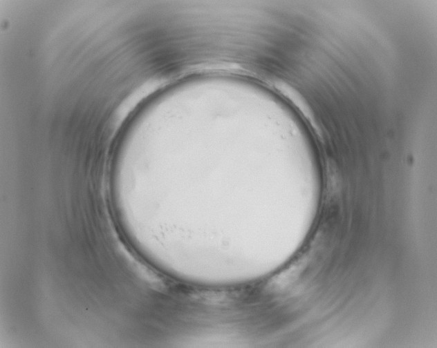 X0000089421245200707061311