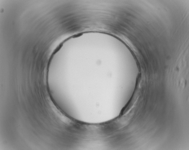 X0000089421246200707061311