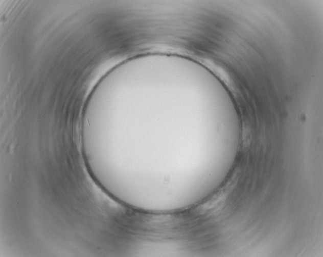 X0000089421247200707061311