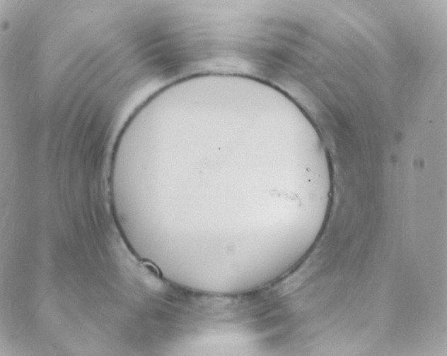 X0000089421248200707061311