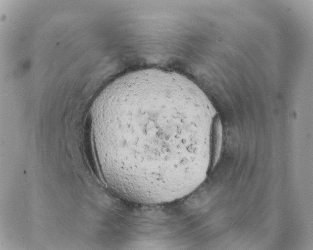 X0000089421249200707061310