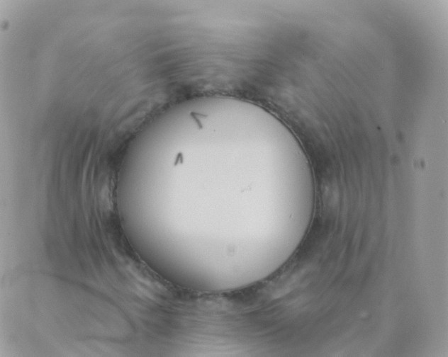 X0000089421250200707061310