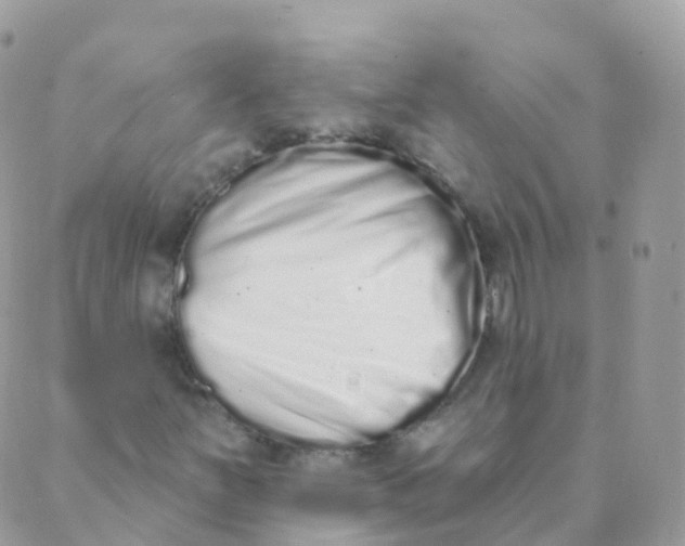 X0000089421251200707061310