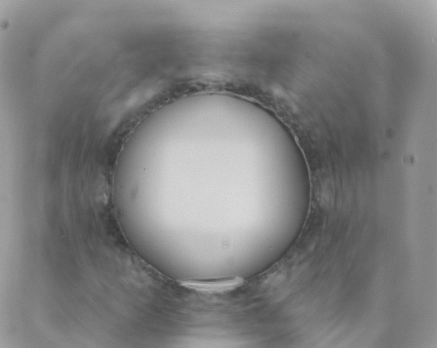 X0000089421253200707061310