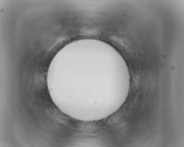 X0000089421254200707061310