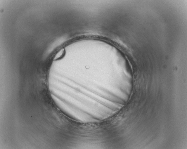 X0000089421255200707061310