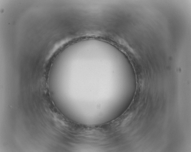 X0000089421256200707061310