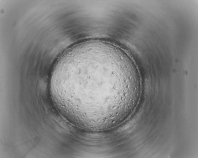 X0000089421257200707061310