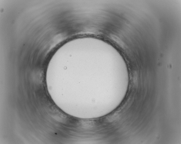 X0000089421258200707061310