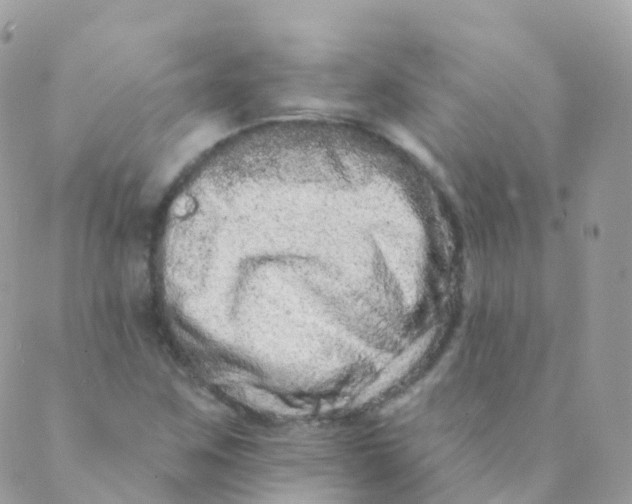 X0000089421259200707061310