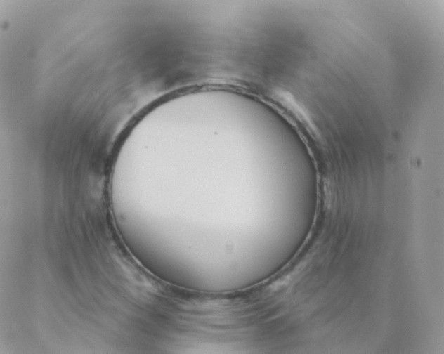 X0000089421260200707061310