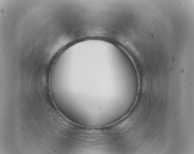 X0000089421261200707061310