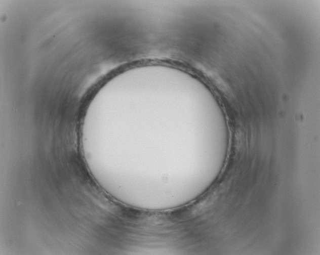 X0000089421262200707061310