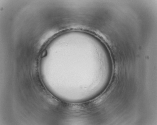 X0000089421263200707061310