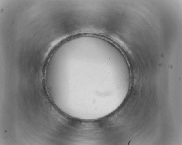 X0000089421264200707061310