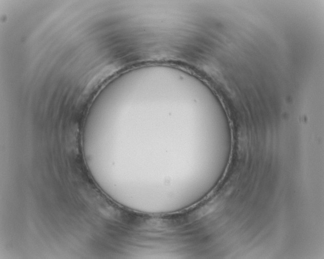 X0000089421265200707061310