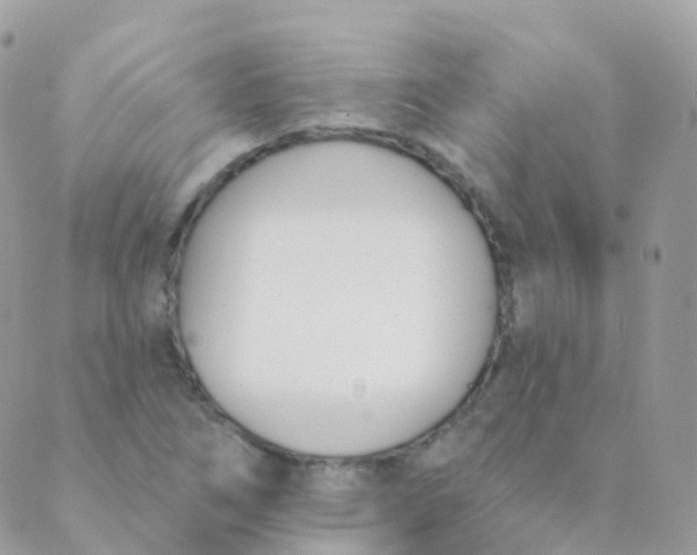 X0000089421266200707061310