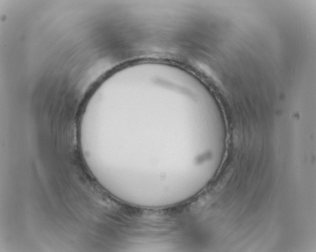 X0000089421267200707061310