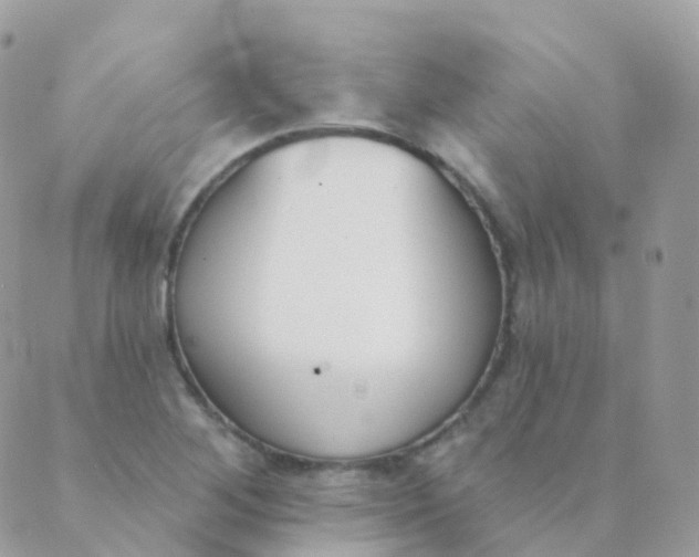 X0000089421268200707061310