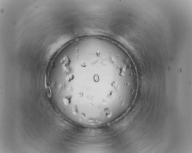 X0000089421269200707061310