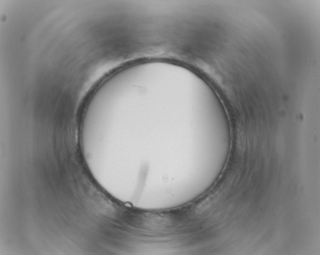 X0000089421270200707061310