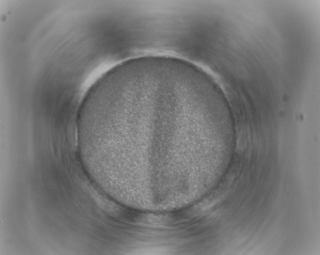 X0000089421271200707061310