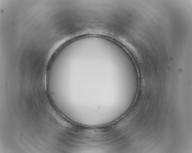 X0000089421272200707061310