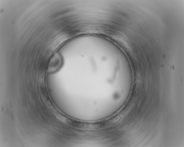 X0000089421273200707061310