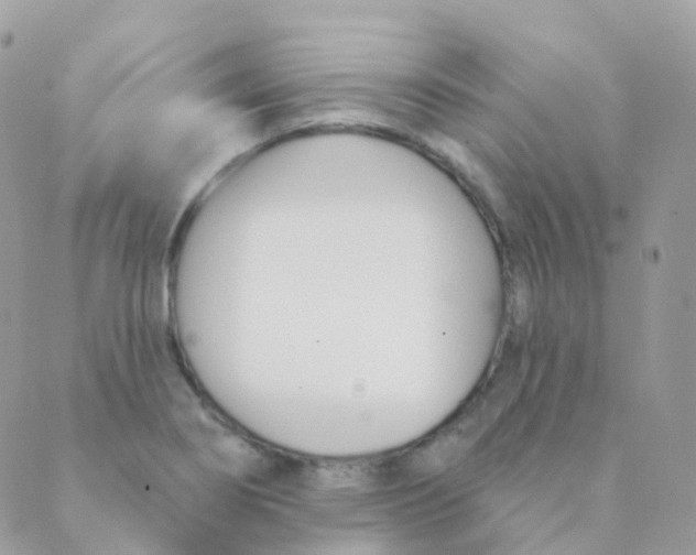 X0000089421274200707061310