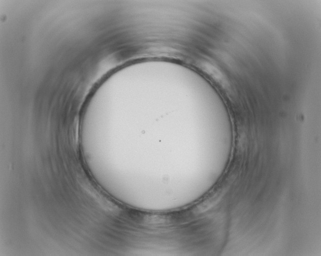 X0000089421275200707061310