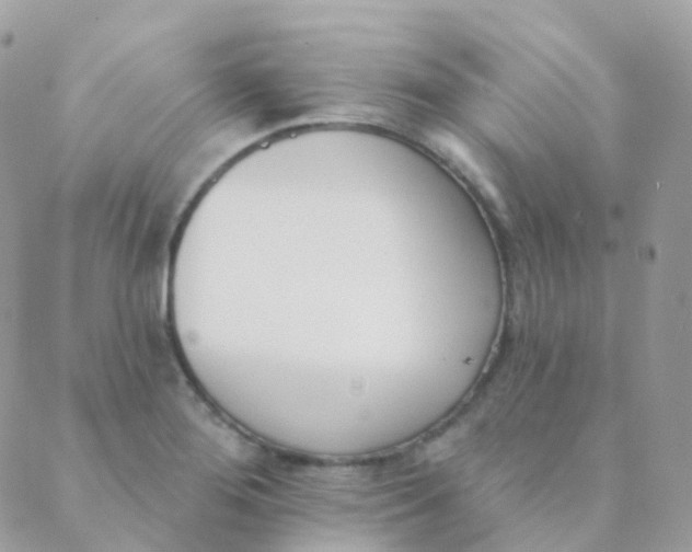 X0000089421276200707061310