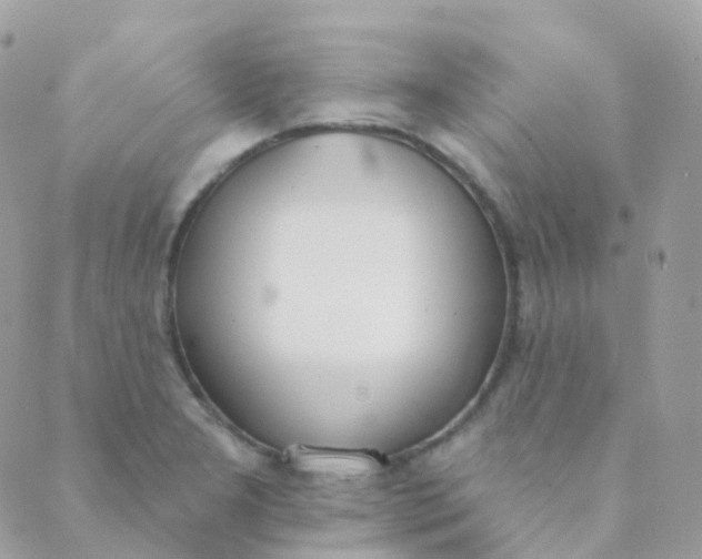 X0000089421277200707061310