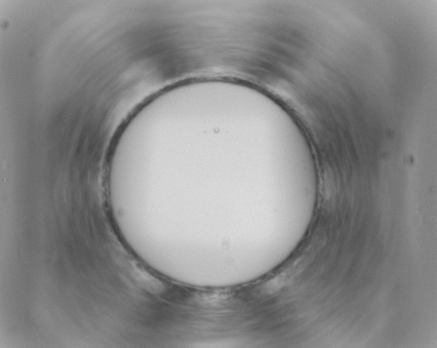 X0000089421278200707061310