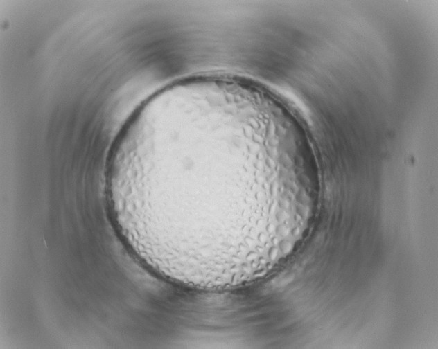 X0000089421279200707061310