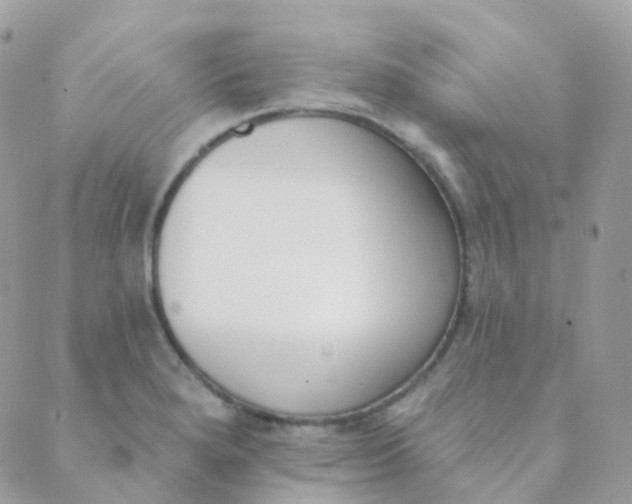 X0000089421280200707061310