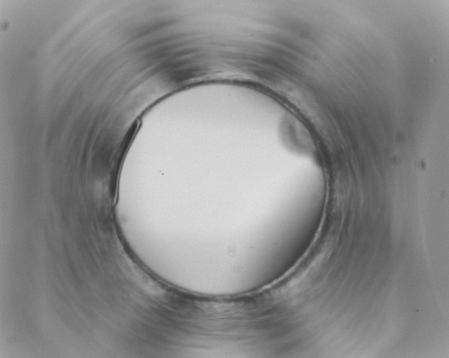 X0000089421281200707061310