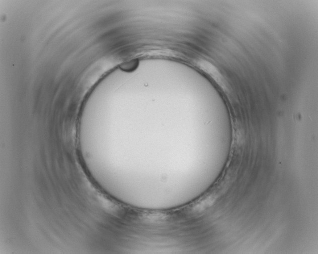 X0000089421282200707061309