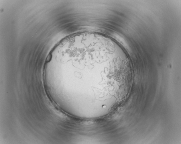 X0000089421283200707061309