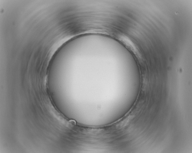 X0000089421284200707061309