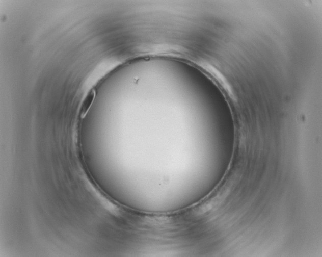 X0000089421285200707061309