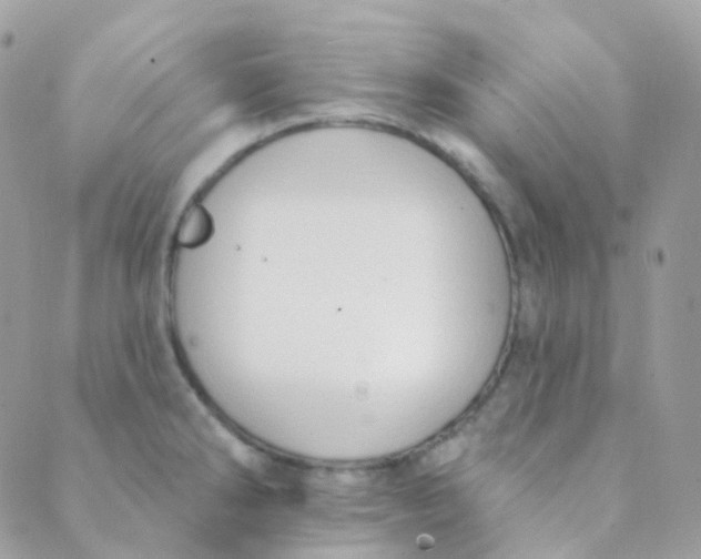 X0000089421286200707061309