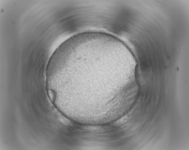 X0000089421287200707061309