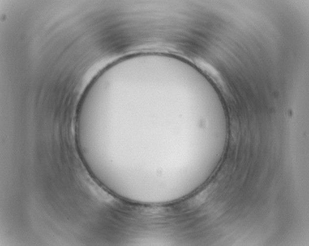 X0000089421288200707061309