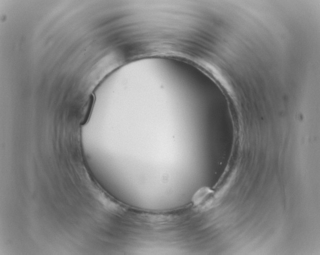 X0000089421289200707061309