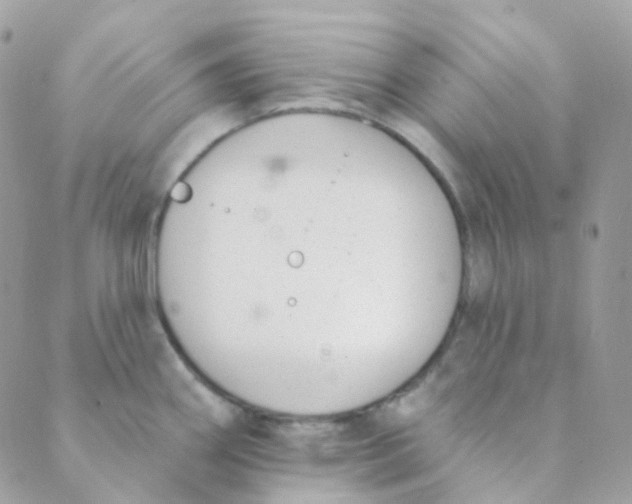 X0000089421290200707061309