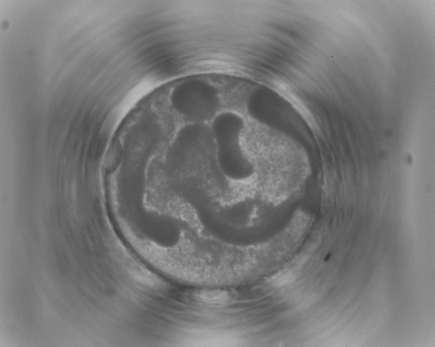 X0000089421291200707061309